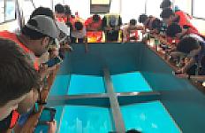 منتجع شاطئ الدولفين