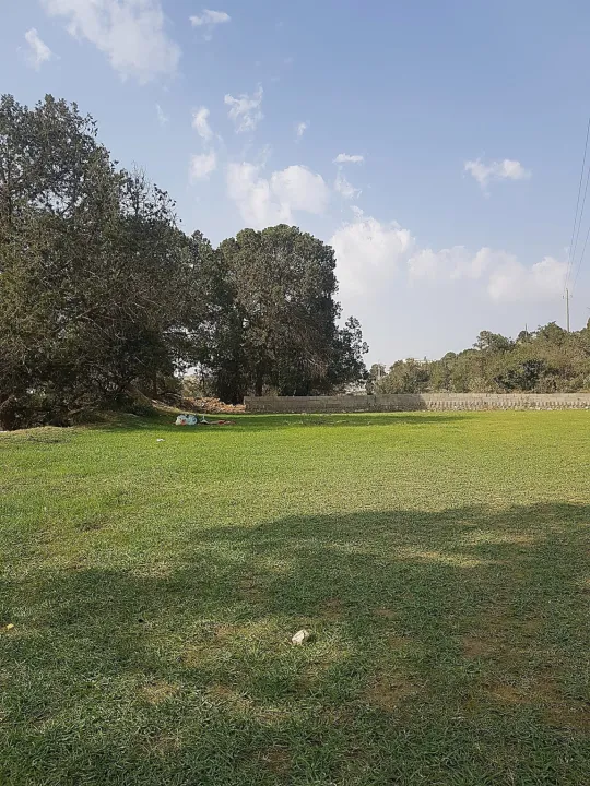 Park view 9