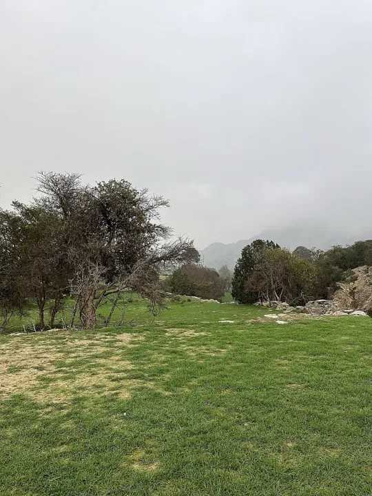 Park view 14